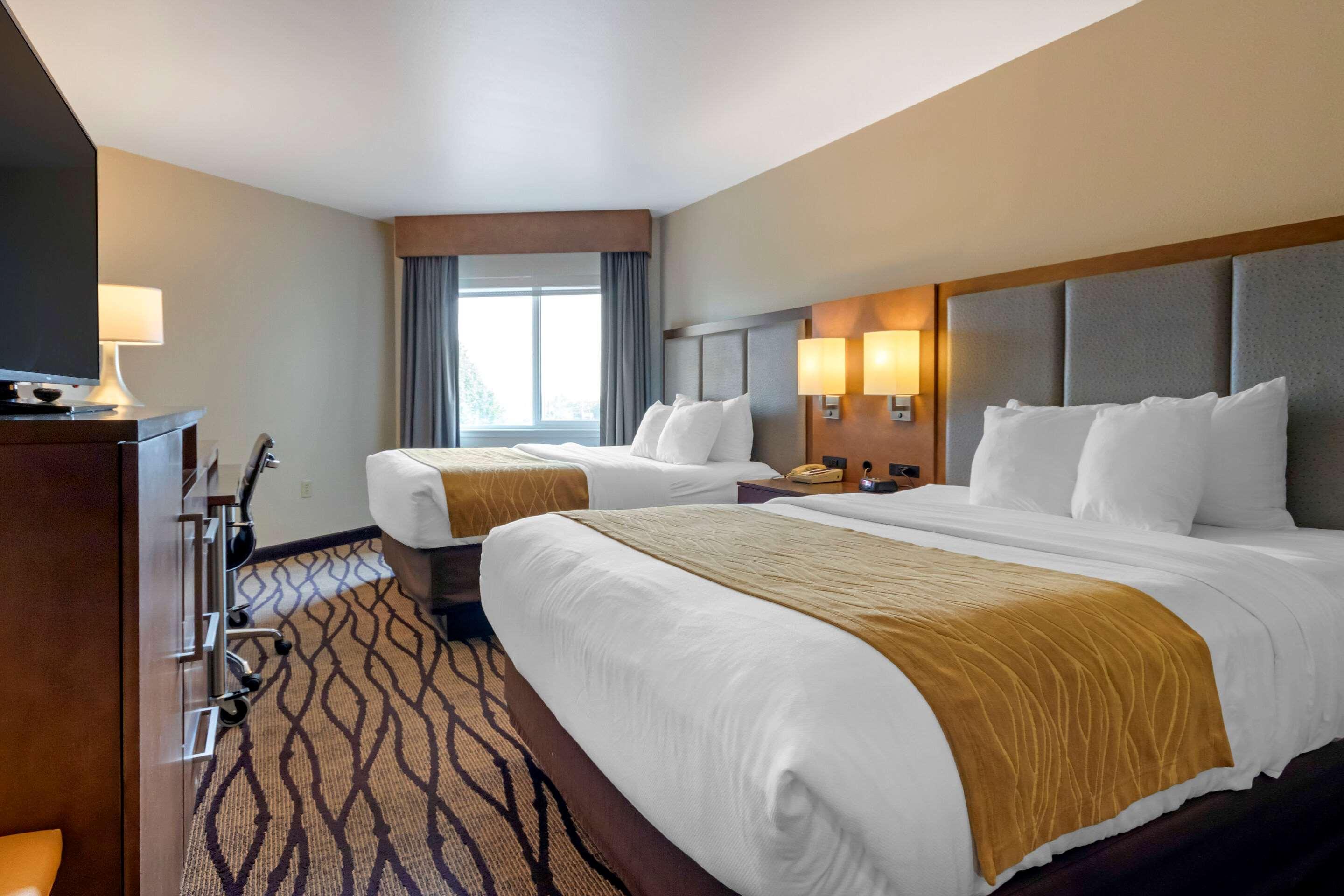 Comfort Inn & Suites Market - Airport Great Falls Ngoại thất bức ảnh