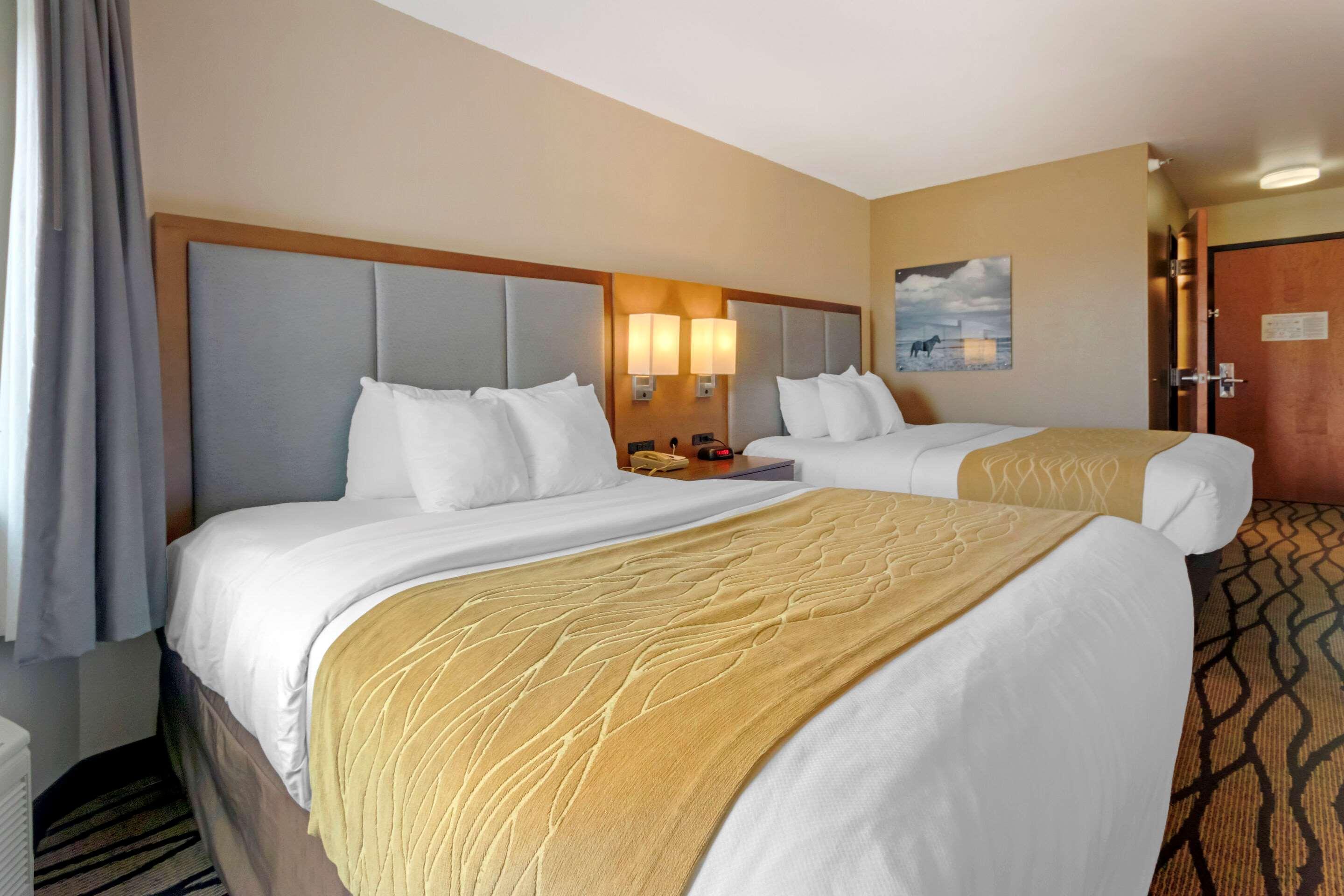 Comfort Inn & Suites Market - Airport Great Falls Ngoại thất bức ảnh