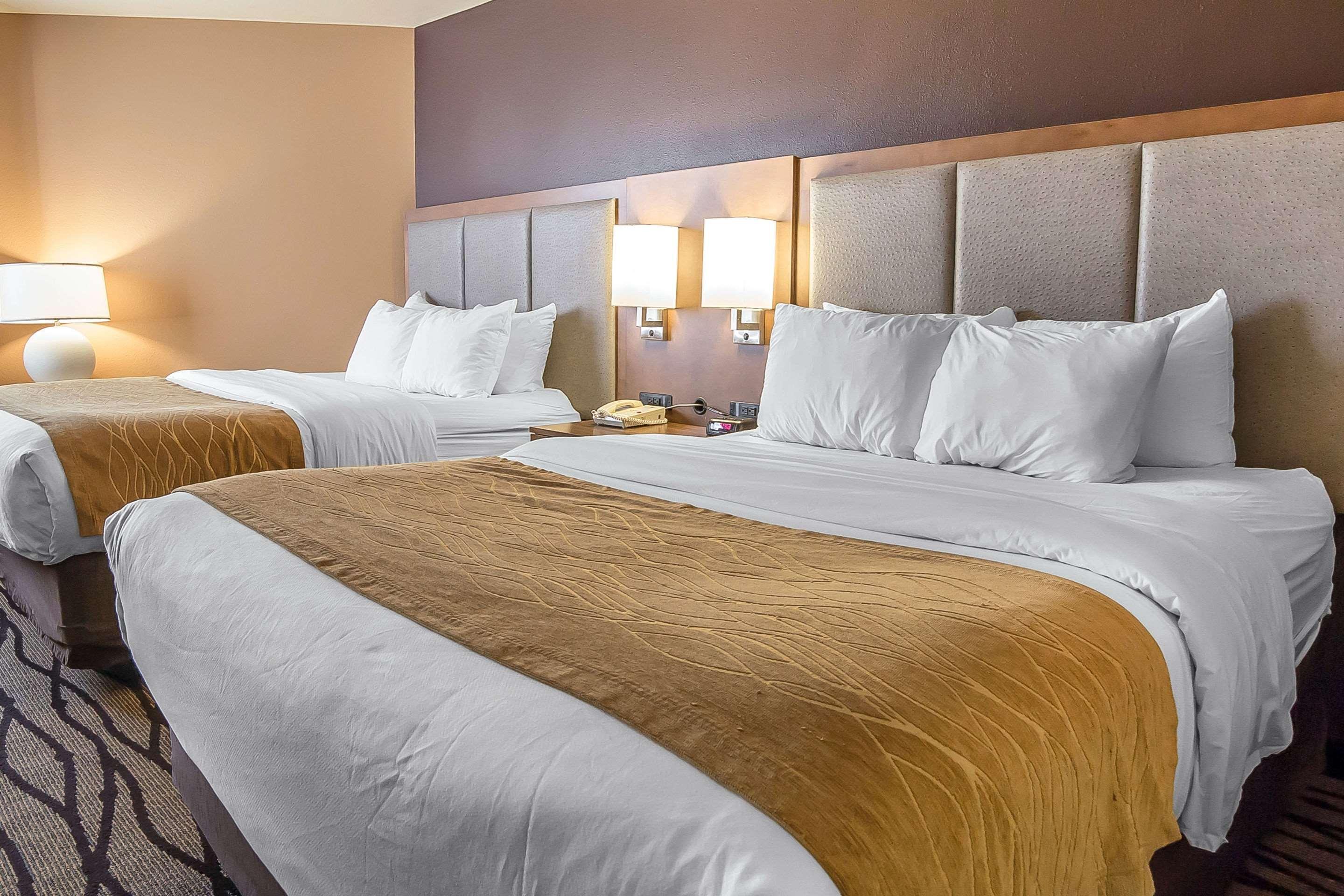 Comfort Inn & Suites Market - Airport Great Falls Ngoại thất bức ảnh